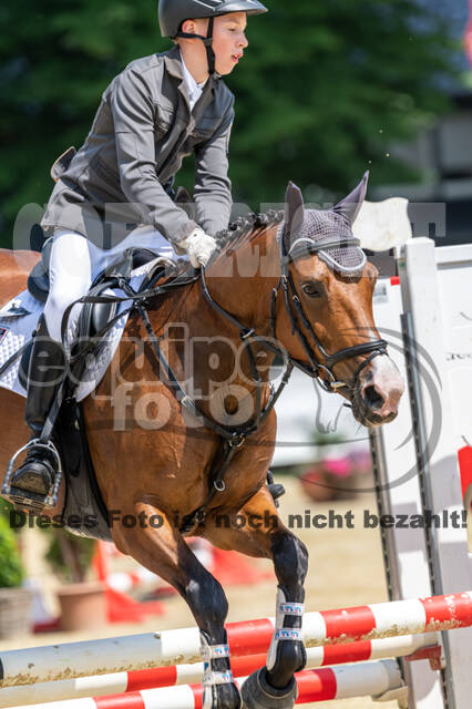 Goldene Schärpe 2021 - Ponys