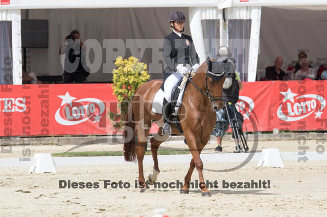 FEI European Championship Eventing 2017