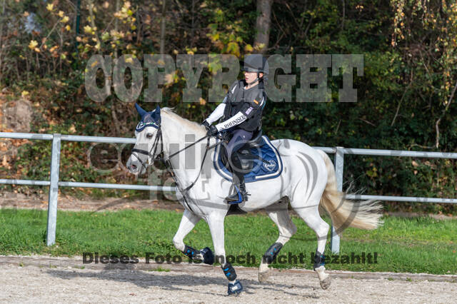 IGV Lehrgang der Sieger der Cups mit Frank Ostholt