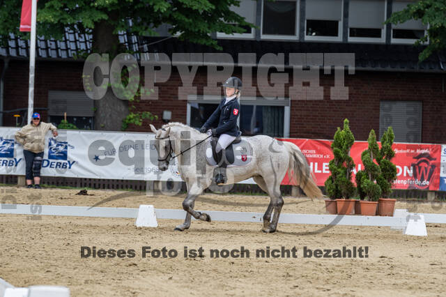 Goldene Schärpe 2021 - Ponys