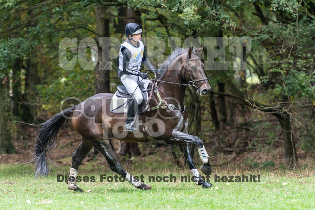 Vielseitigkeit RSV Wesel Obrighoven (26.+27.09.2020)