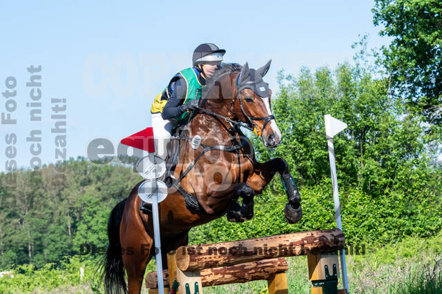 Westerstede Horse Trials (10.-13.06.2021)