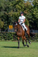 Kronenberg - De Peelbergen (August 2020)