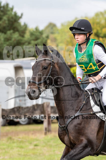 Vielseitigkeit RSV Wesel Obrighoven (26.+27.09.2020)