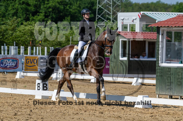 Westerstede Horse Trials 2021