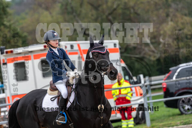 Reiter Schleswig-Holstein