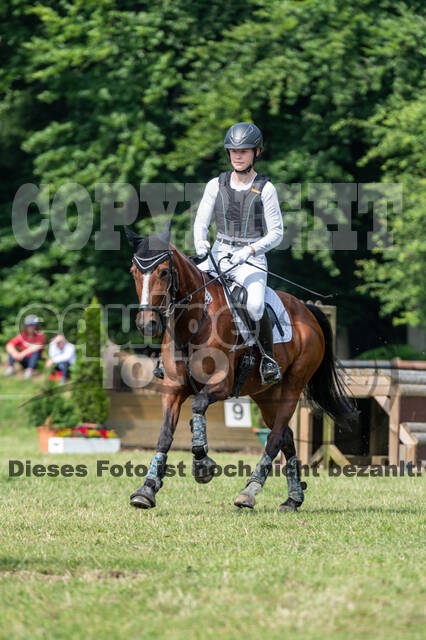 Goldene Schärpe 2021 - Ponys