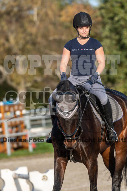 IGV Lehrgang der Sieger der Cups mit Frank Ostholt