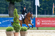 Goldene Schärpe 2021 - Ponys
