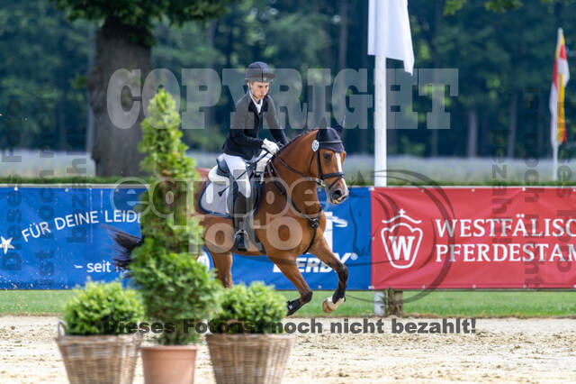 Goldene Schärpe 2021 - Ponys
