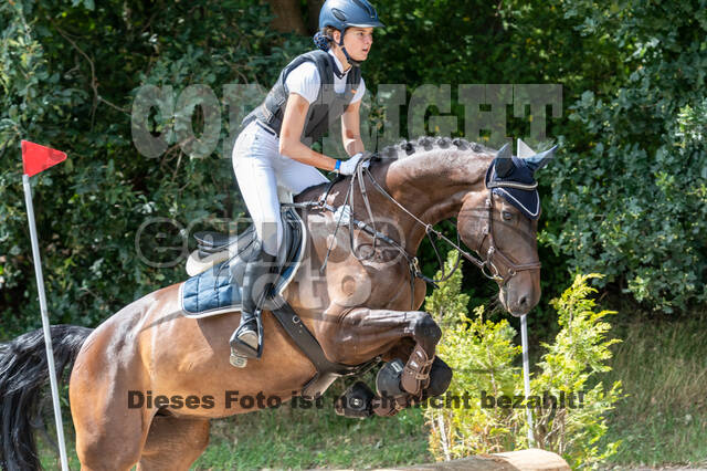 Late-Entry-Vielseitigkeit Langenfeld (06.+07.07.2020)