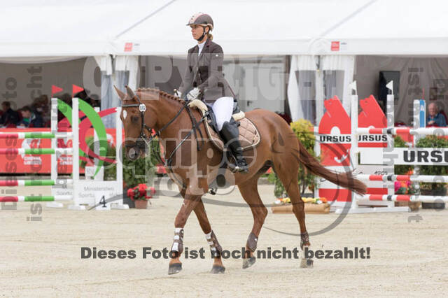 FEI European Championship Eventing 2017