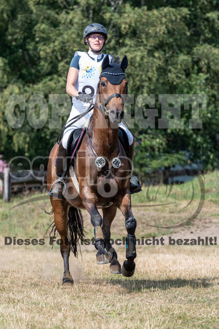 Late-Entry Vielseitigkeit Hamminkeln/Wesel (01.+02.08.2020)