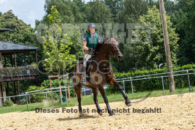 Hunter Geländetraining 10.07.2021 (Sonsbeck)