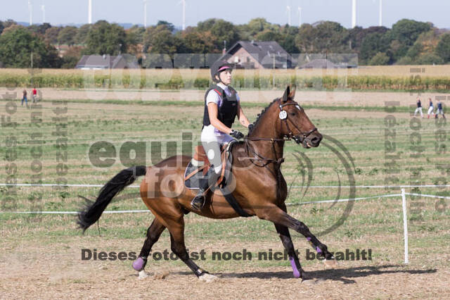 IGV Kleve