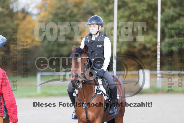 IGV Lehrgang der Sieger der Cups mit Frank Ostholt
