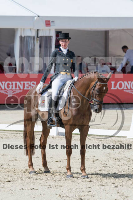 FEI European Championship Eventing 2017