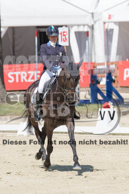 FEI European Championship