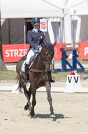 FEI European Championship