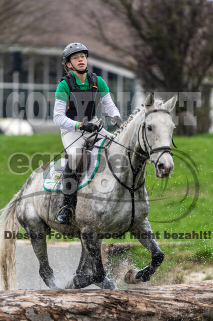 Goldene Schärpe 2020 - Pferde