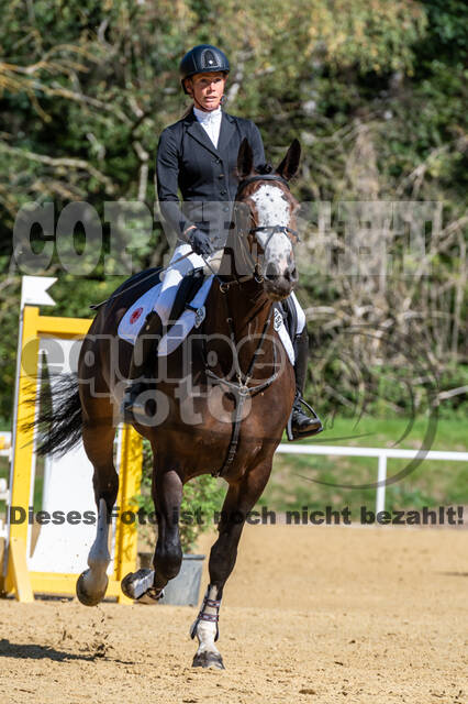 RFV Dinslaken-Hiesfeld (Herbstturnier)