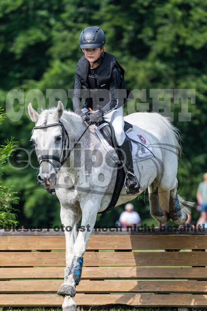 Goldene Schärpe 2021 - Ponys
