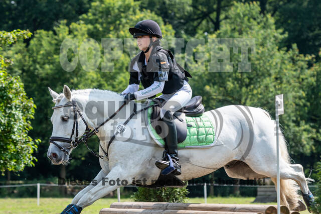 Goldene Schärpe 2021 - Ponys