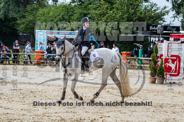 Goldene Schärpe 2021 - Ponys