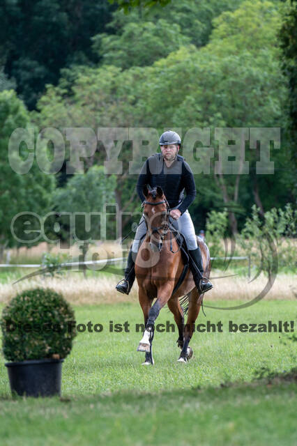 Bonn-Rodderberg Late-Entry-Vielseitigkeit (30.06.2020)