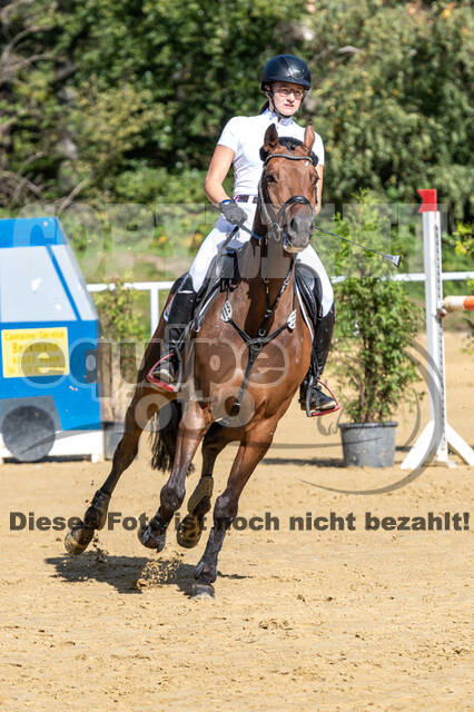 RFV Dinslaken-Hiesfeld (Herbstturnier)