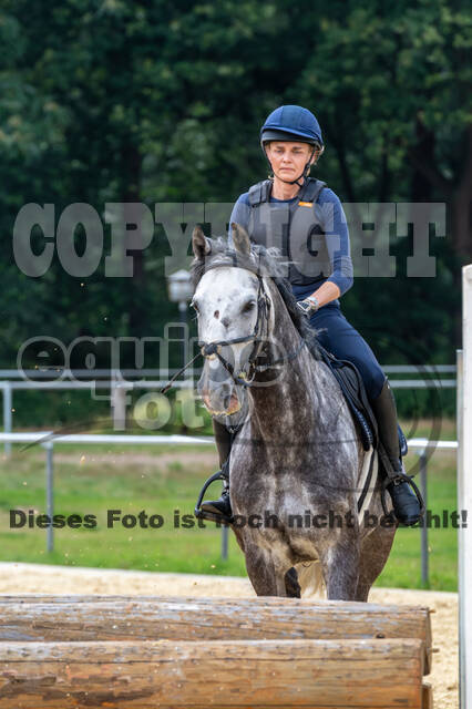 Hunter Geländetraining 10.07.2021 (Sonsbeck)