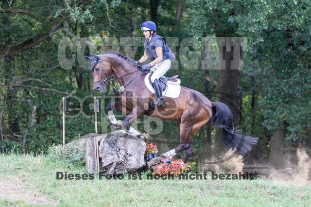 Late-Entry Vielseitigkeit Hamminkeln/Wesel (01.+02.08.2020)