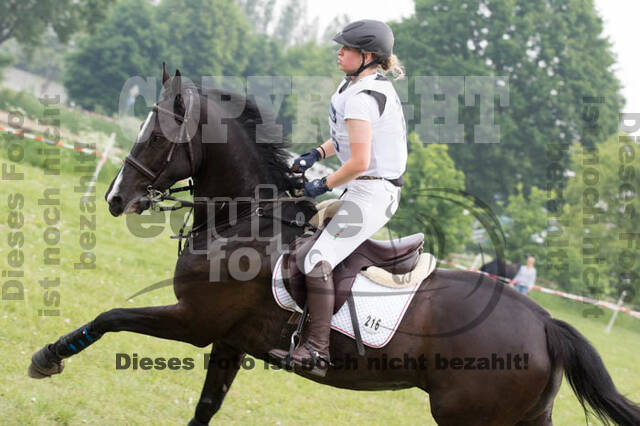 Vielseitigkeitsturnier ZRFV von Lützow Hamminkeln