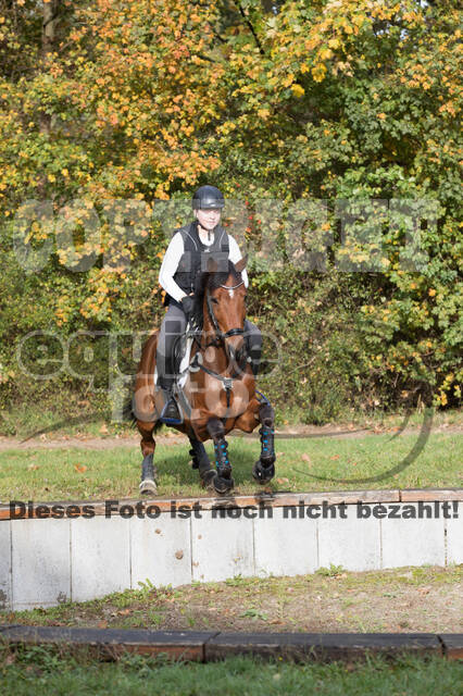 IGV Lehrgang der Sieger der Cups mit Frank Ostholt