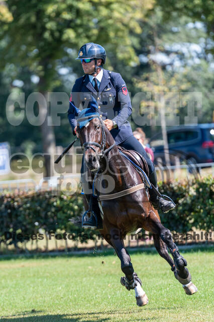 Kronenberg - De Peelbergen (August 2020)