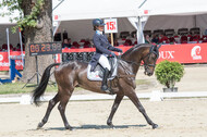 FEI European Championship