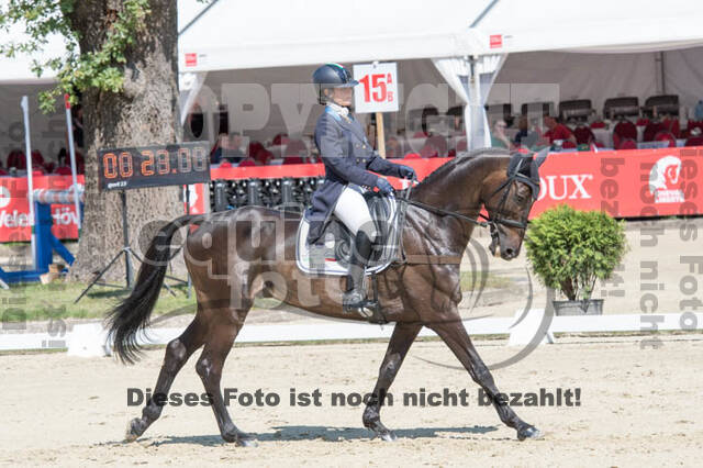 FEI European Championship