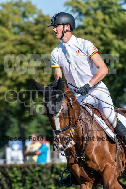Kronenberg - De Peelbergen (August 2020)