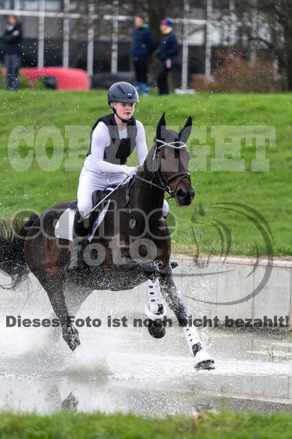 Goldene Schärpe 2020 - Pferde