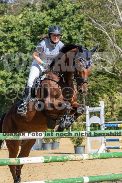 RFV Dinslaken-Hiesfeld (Herbstturnier)