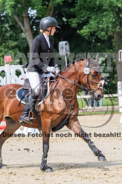 Goldene Schärpe 2021 - Ponys