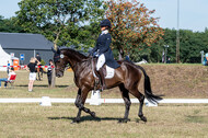 Kronenberg - De Peelbergen (August 2020)