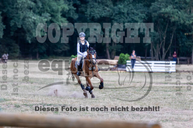 Late-Entry Vielseitigkeit Hamminkeln/Wesel (01.+02.08.2020)