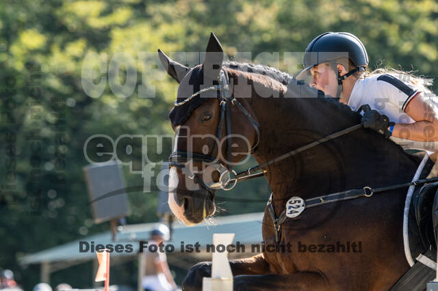 RFV Dinslaken-Hiesfeld (Herbstturnier)