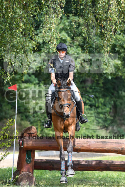 Late-Entry-Vielseitigkeit Langenfeld (11.+13./14.06.2020)