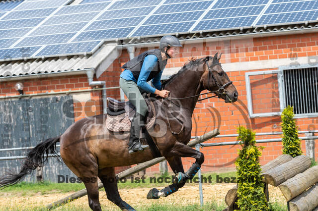 Hunter Geländetraining 10.07.2021 (Sonsbeck)
