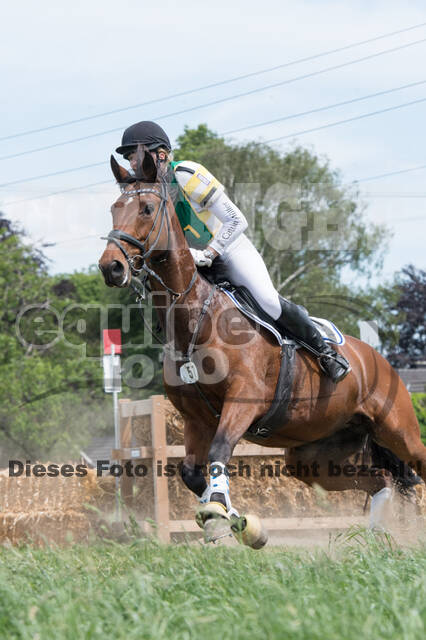 Vielseitigkeitsturnier ZRuFV von Lützow Hamminkeln