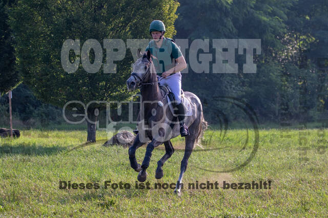 Late-Entry-Vielseitigkeit Gahlen (18.07.2020)