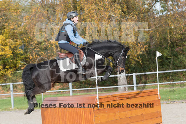 IGV Lehrgang der Sieger der Cups mit Frank Ostholt