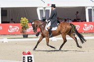 FEI European Championship Eventing 2017